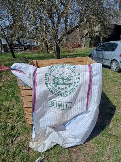 Saatkartoffel Eurostarch