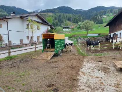 Viehanhänger mit Plane