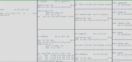 Verkaufe HF Jungkalbin