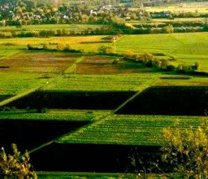 Land- und forstwirtschaftliche Flächen gesucht
