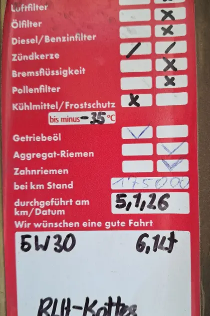 Peugeot Expert Dangel Allrad