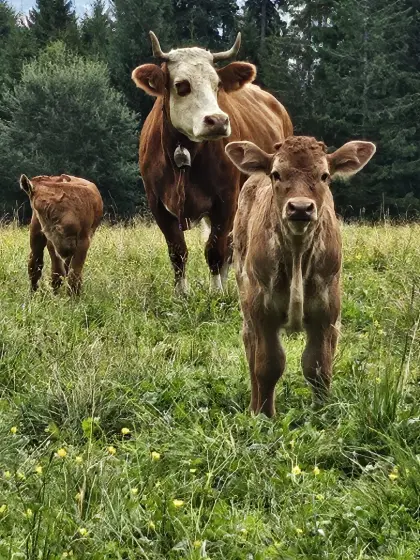 Wir suchen Verstärkung (m/w)