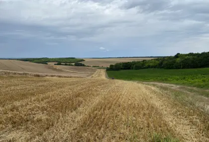 300 ha Agrarland im Eigentum einer Ung. GmbH (Kft.)