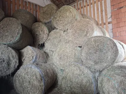 Heuballen aus früherer Ernte