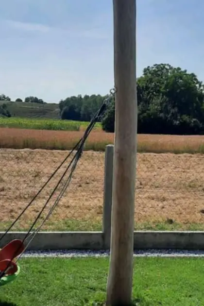 Rubinienstamm 4 m lang