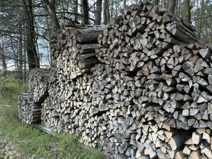 Brennholz Buche
