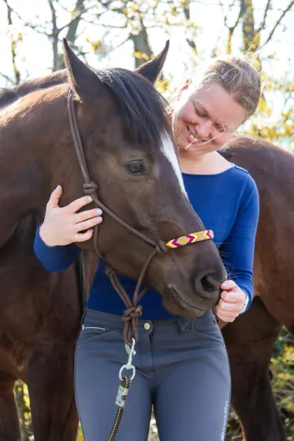 Zuckersüße Paint Horse Stute