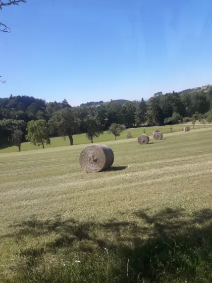 Heurundballen 2. Schnitt