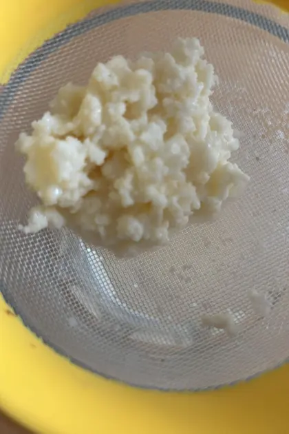 Milch Kefir