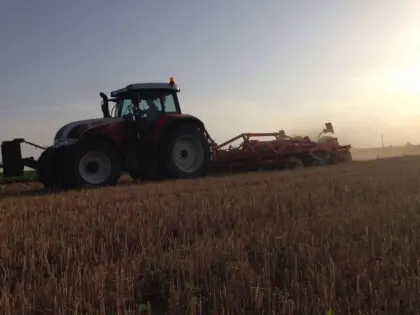 Bio Gemüsebaubetrieb sucht Mitarbeiter