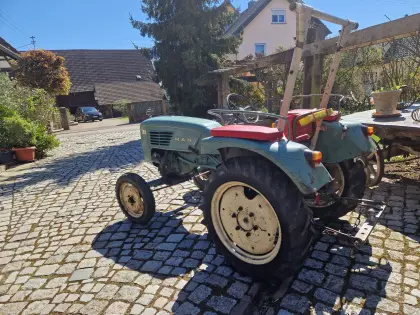 MAN Oldtimer Traktor Typ 2F1
