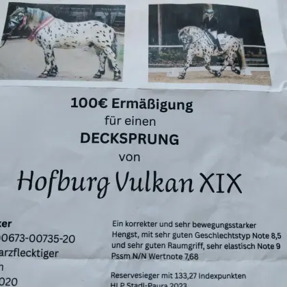 Ermäßigung Decksprung abzugeben