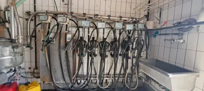 Westfalia Melkanlage inkl. 7 Melkgehänge STIMOPULS C