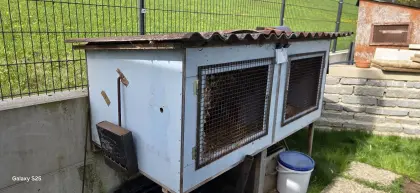 Kaninchen, Wachtelstall