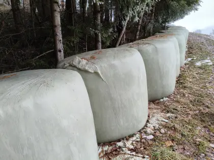 48 Stk. Siloballen, erster Schnitt 2025, 130 cm