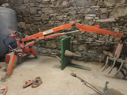 Mistgreifer Leon (Di Ceccato Benito)