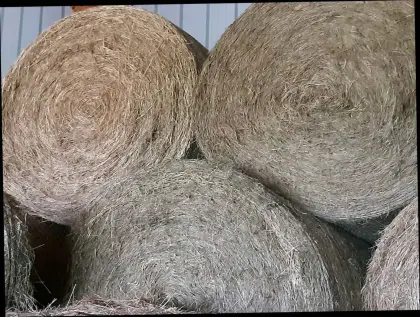 Heu- und Strohballen