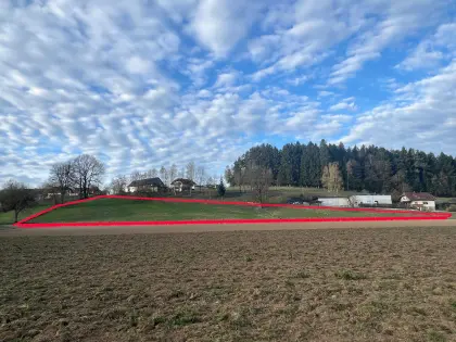 Sommerweide zur Nutzung