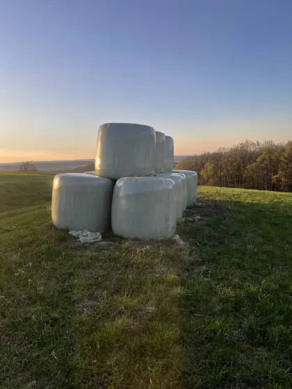 Silageballen Schaumann Greenstar