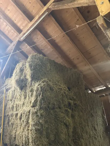 Verkaufe Belüftungsheu 1. und 2. Schnitt