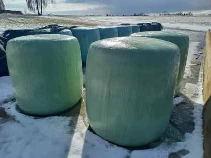 Rundballen - Silage