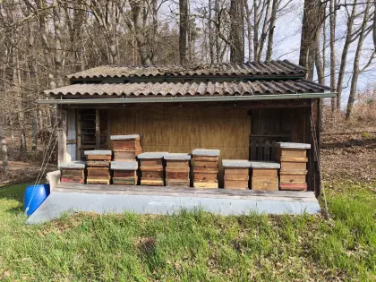 Bienen Zubehör