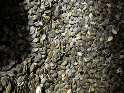 Bio Kürbiskerne GGA