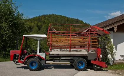 Suche Agil Steinbock