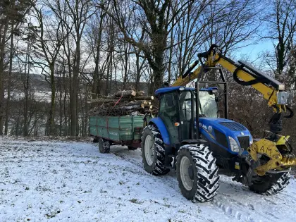 Moser Kran Dreipunkt