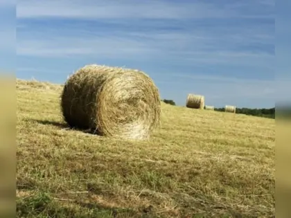 Heu Rundballen bio