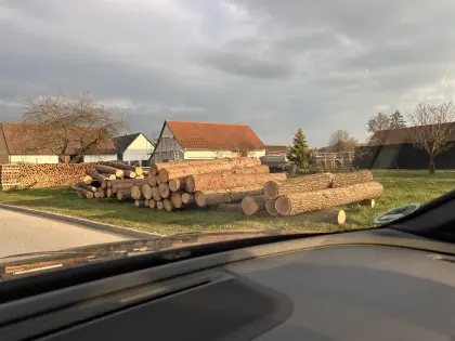 Fichten/Kiefern Holz