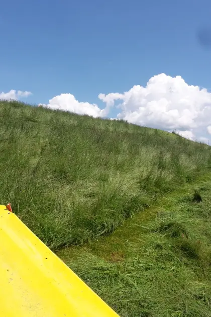 Silageballen