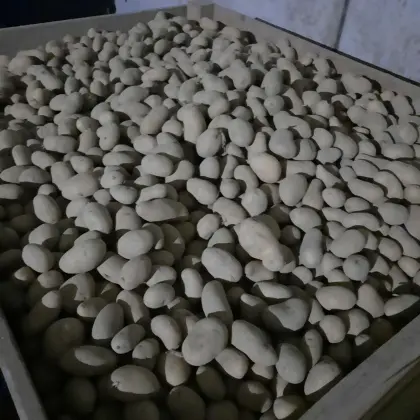 Restmenge Valdivia 2.700 kg