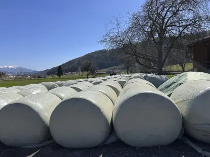 Maisballen, Ernte 2025, 1.250 kg