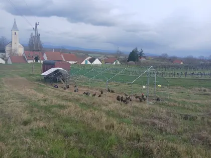 Mobiler Hühnerstall