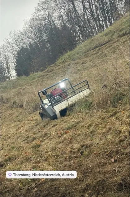 Mäh- und Mulcharbeiten mit Raupe