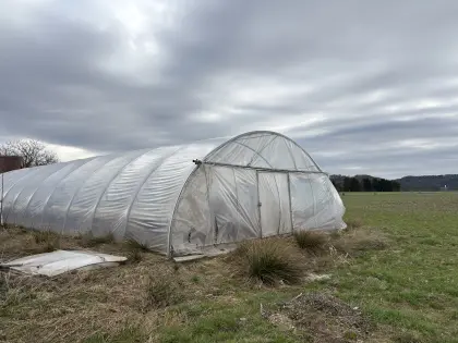 Folientunnel 8x24 m