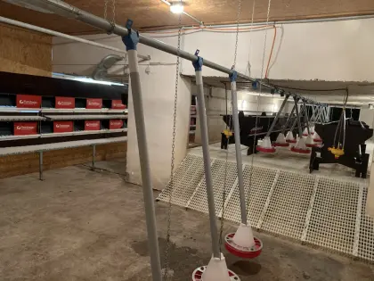 Hühnerstalleinrichtung