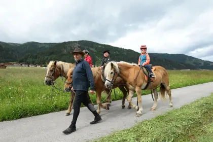 Pferdeliebhaber:in zur Mithilfe in der Landwirtschaft