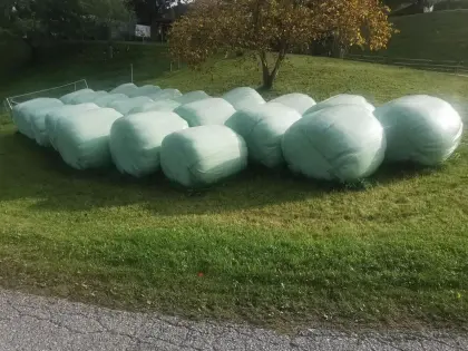 Siloballen 1. Schnitt