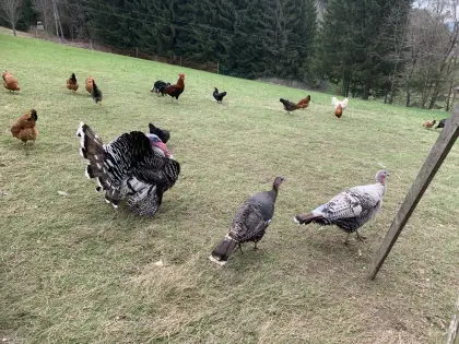 [Telefonnummer entfernt]