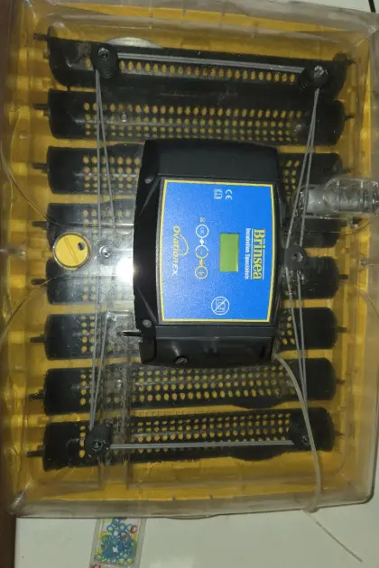 Brinsea Ova Easy 100 EX + Ovation 56 EX | Komplettset