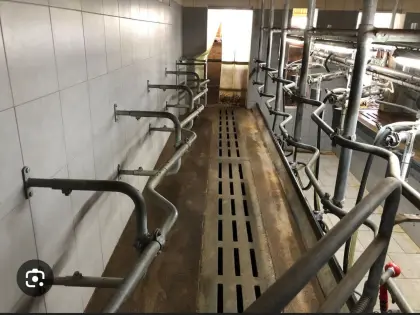 Melkstandgestell Westfalia, Kraftfutterstation