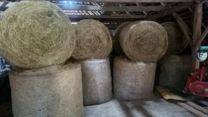 Heurundballen 1. Schnitt