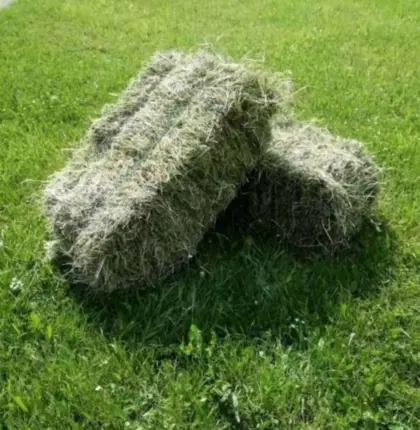 Kleine Quaderballen für die Schnitte 2026 zu verkaufen