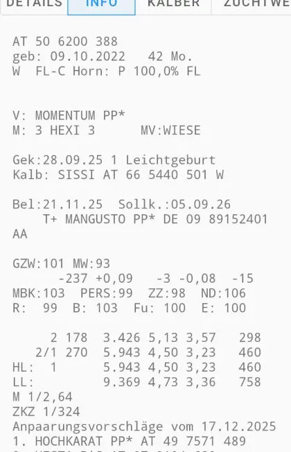 Bio Kuh (eher für Mutterkuhhaltung) trächtig