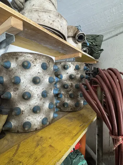 Stachelwalze Brielmaier