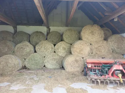 Heuballen, Silageballen, Mammut Siloballenschneider