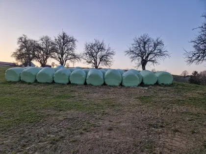 Siloballen zu verkaufen 30 Stk.