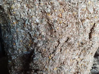 Verkaufe Maissilageballen